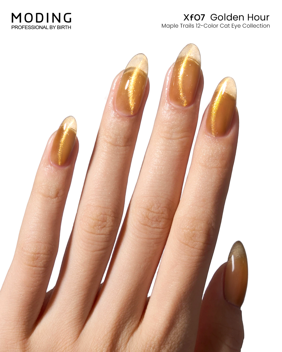 MODING Maple Trails Cat Eye Gel Colour HEMA & TPO Free - XF7