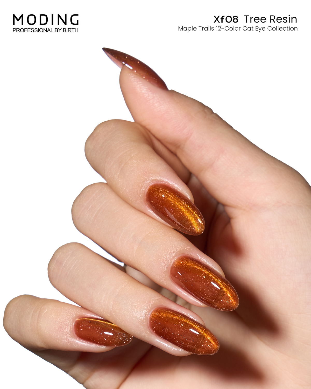 MODING Maple Trails Cat Eye Gel Colour HEMA & TPO Free - XF8