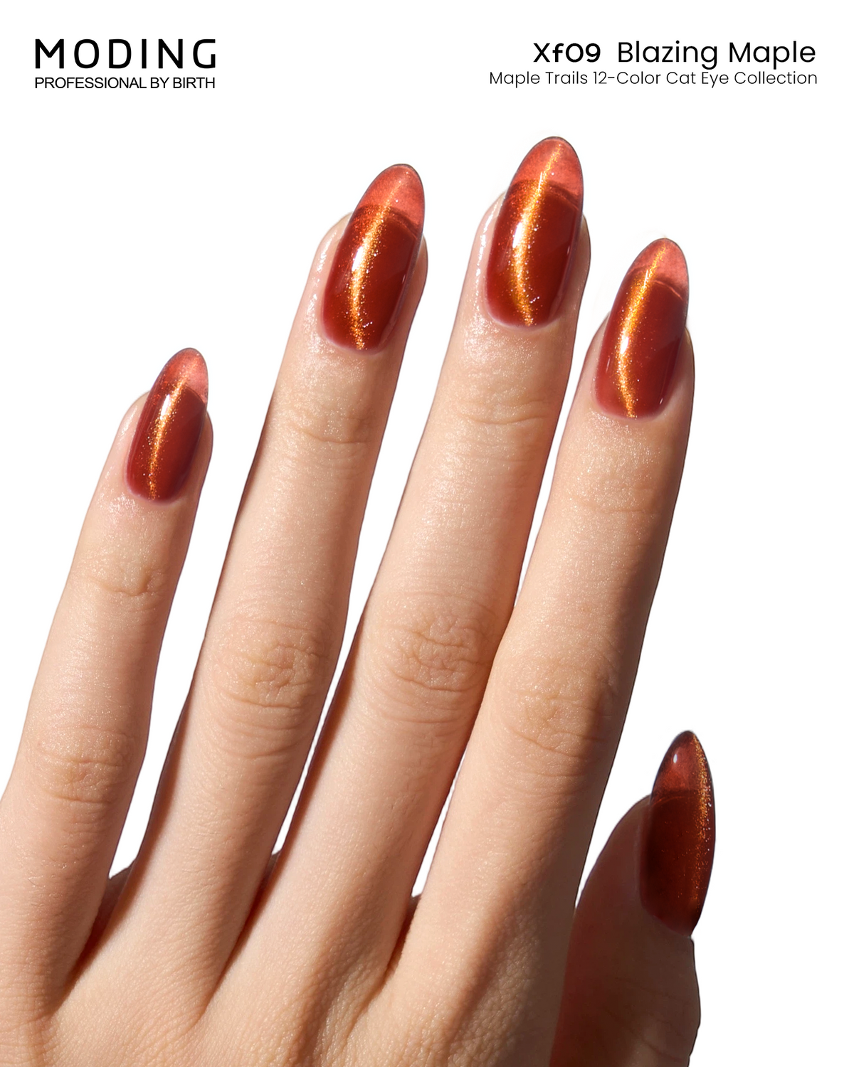 MODING Maple Trails Cat Eye Gel Colour HEMA & TPO Free - XF9