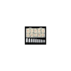 VINA 550 Natural Nail Tips in Box (Size 0 to 10)