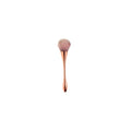Long Handle Dust Brush - RG