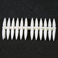 Nail Display Tips Stiletto - Natural