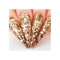 KIARA SKY Sprinkle on Glitter 1oz - SP213 Deja Brew