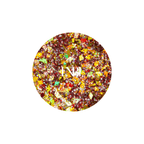 Glitter Mix 1/2oz - GP84