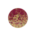 Glitter Pack 5G - GL55