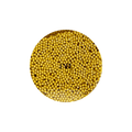 Microbeads in pack - MB05 Gold