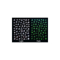 Sticker - CY001 - Glow in the Dark