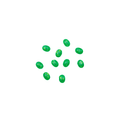 3D OVAL - GREEN
