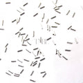 3D Metal Nail Art - #102