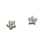 Nail Art Charm - 115 (2pcs)