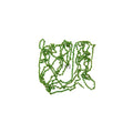 Chain - Green