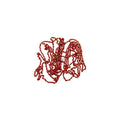 Chain - Red