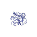 Beaded Chain - Blue & Gold