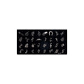 Nail Art Stamping Plate - #T23