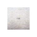 Lace - White#12