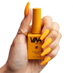 VINA Gel Colour 15ml - 067