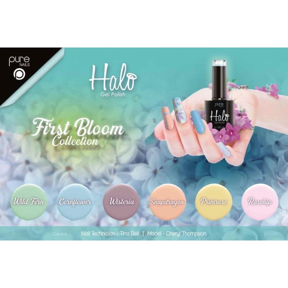 HALO Salon Poster Size A4 - First Bloom