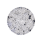 Mixed Size White Snowflakes