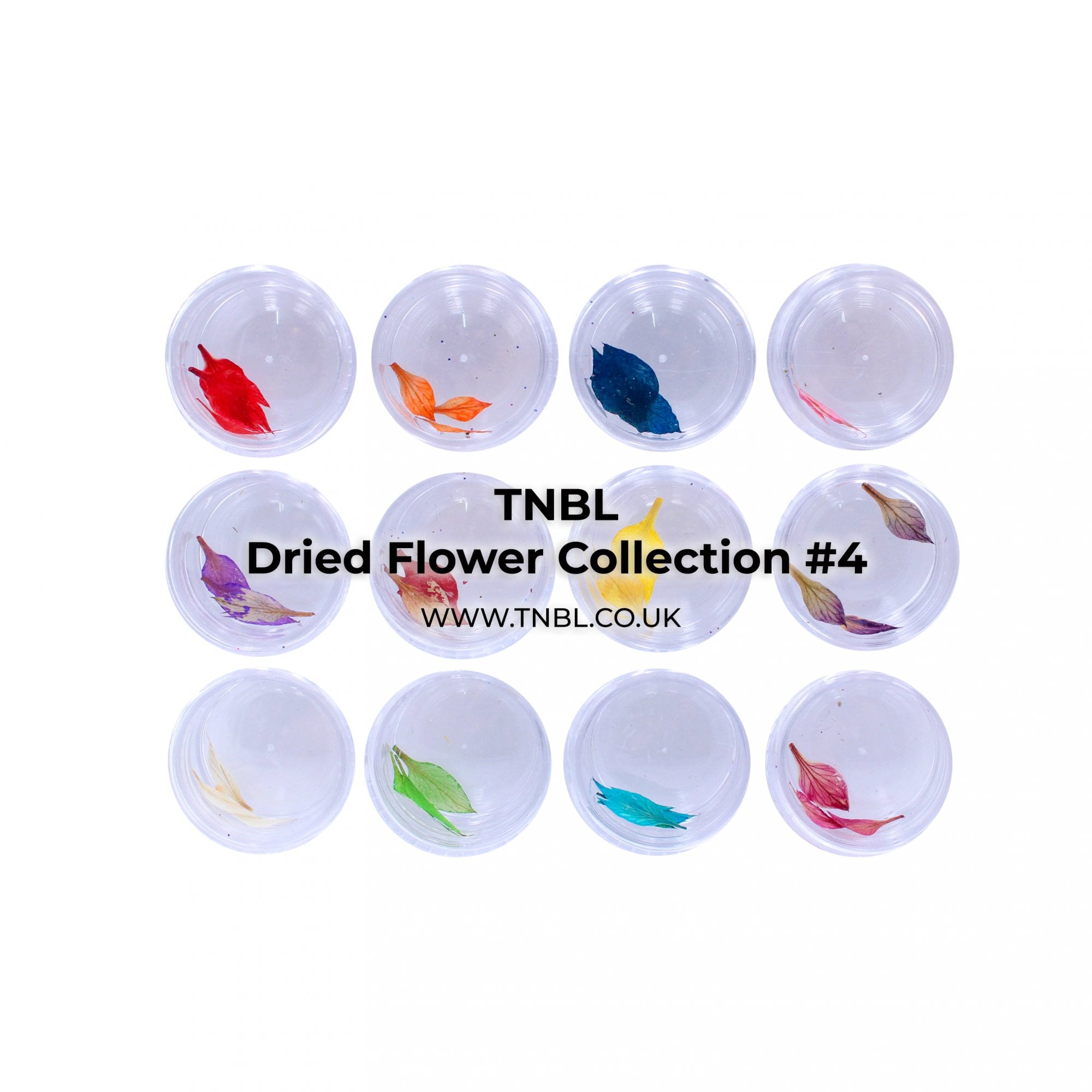 Dried Flowers - #4 Collection Set 6/12PCS
