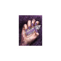 Swarovski Crystal Pixie Edge Nail Box 5g Blossom Purple