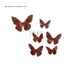 Nail Art Charm - Butterfly150