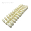 VINA Nail Display Tips 240pcs