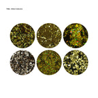 Glitter Kits (3xcolours available )- Holo Collection 6 pcs