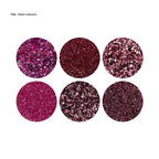 Glitter Kits (3xcolours available )- Holo Collection 6 pcs