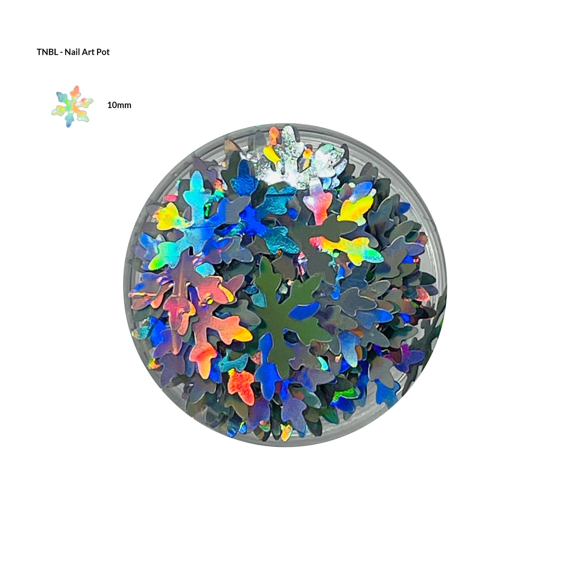 Nail Art Pot - HOLOGRAPHIC SNOWFLAKE#4