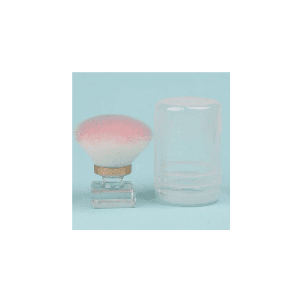 Mini Dust Brush with Storage Case