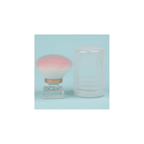 Mini Dust Brush with Storage Case