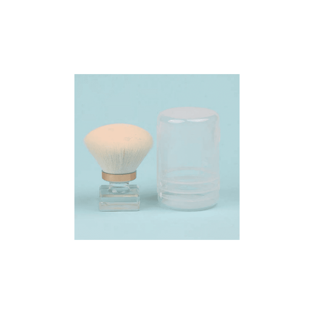 Mini Dust Brush with Storage Case
