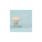 Mini Dust Brush with Storage Case