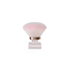 Mini Dust Brush with Storage Case