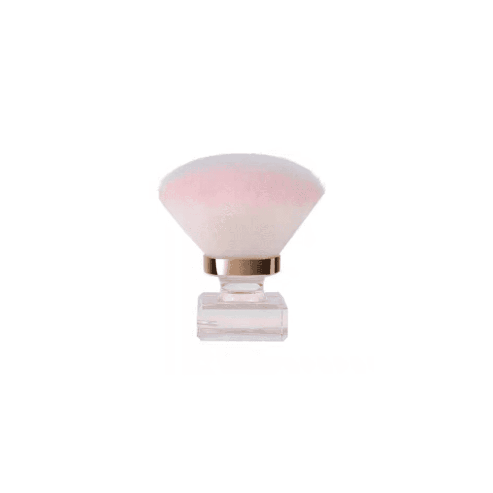 Mini Dust Brush with Storage Case