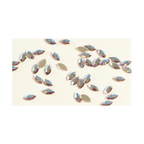 SWAROVSKI Navette 2200 - AB 8x4mm 6pcs