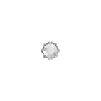 SWAROVSKI Flower 2728