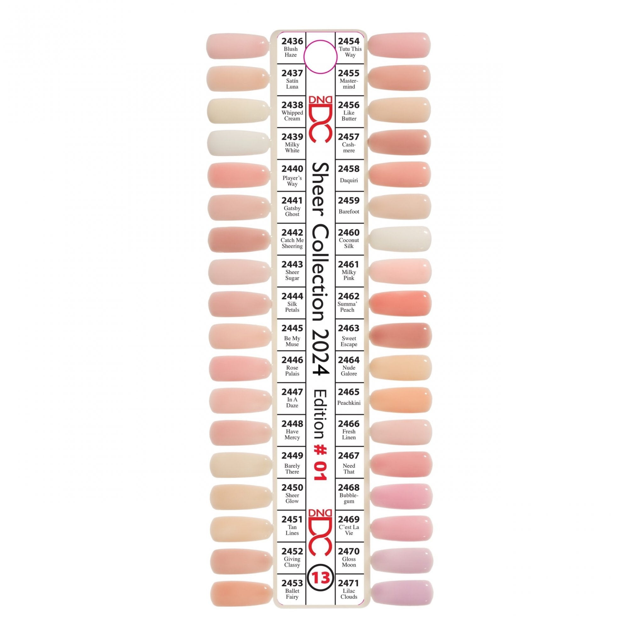 DND Duo Color Swatches Palette