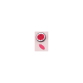 Rococo Nail Art Gel Pot 007 - Punch Pink