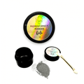 APRES Pigment Effect Powder Holo 1Gram