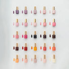 APRES 100 Gel Couleur - First Edition Bundle (HEMA & TPO Free)