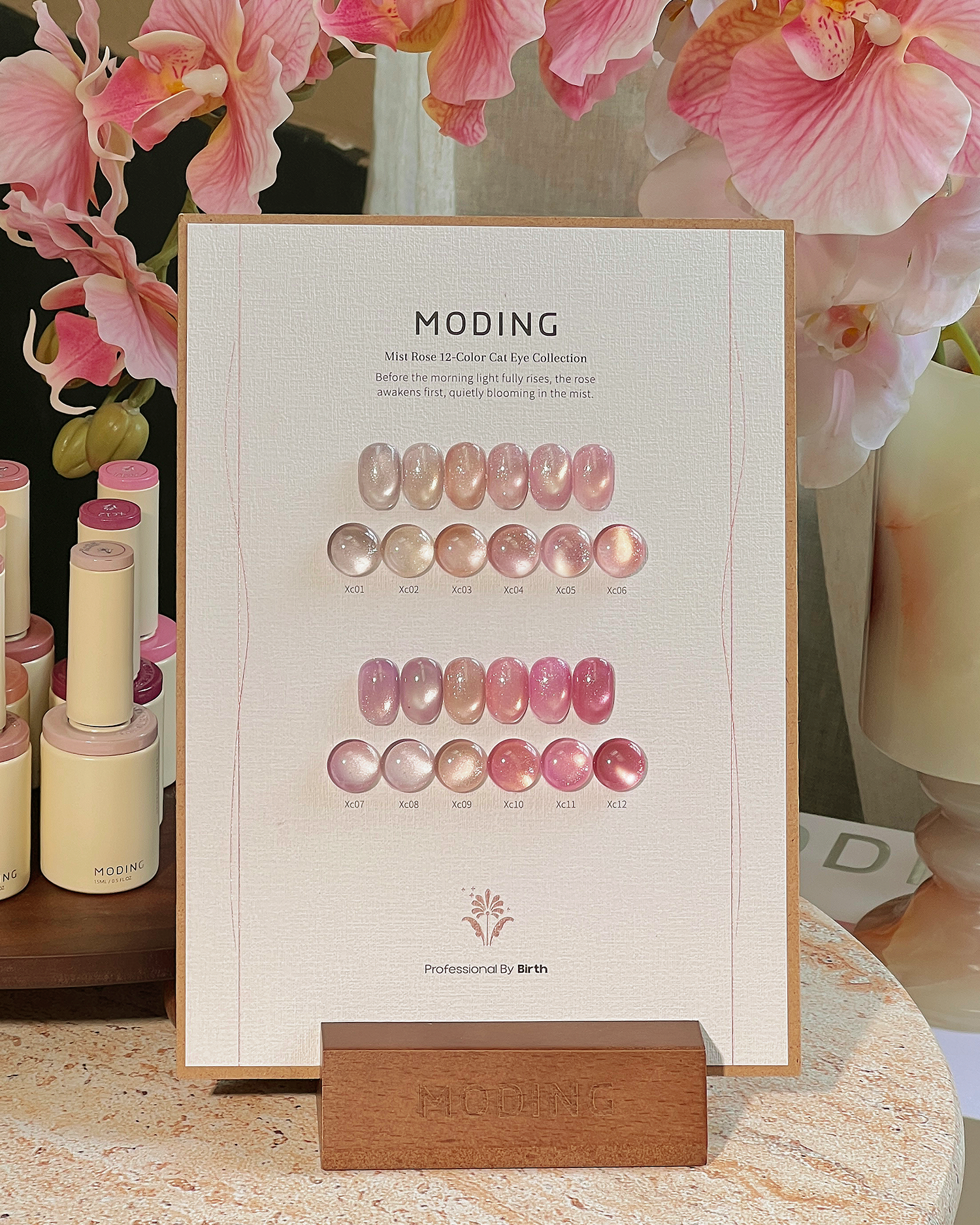MODING Mist Rose Cat Eye Gel Colour HEMA & TPO Free - Full Collection