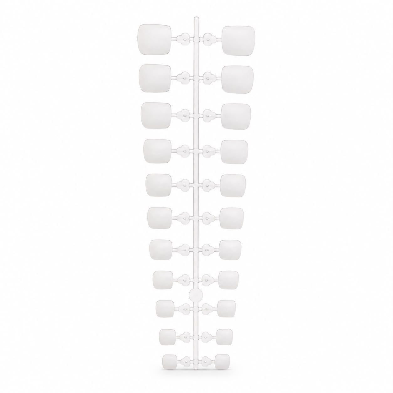 TNBL Press On Toe Tips - 12 size (24pcs)