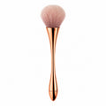 Long Handle Dust Brush - RG
