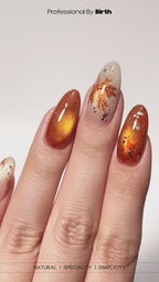 MODING Maple Trails 12-Color Cat Eye Collection HEMA & TPO Free